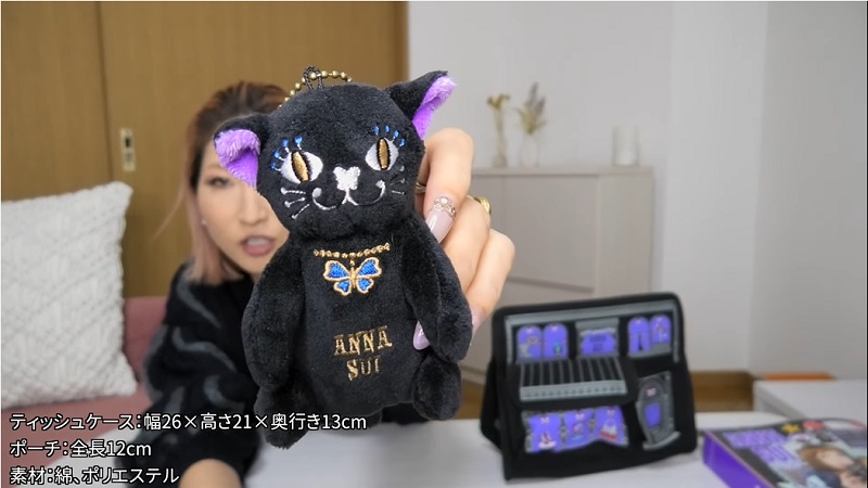 タイムセール Anna Sui 雑誌付録 猫 ぬいぐるみポーチ 528e1b 展示特価 Cfscr Com