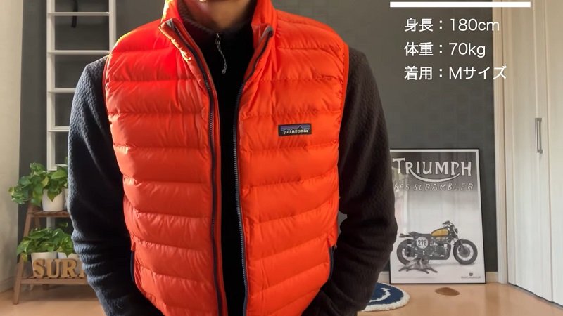 数々のアワードを受賞 patagonia ハイロフト 4T ダウンベスト フーディ 