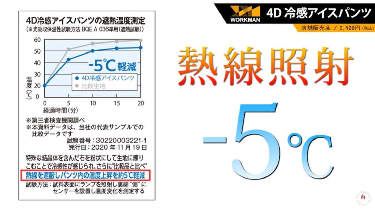 画像出典:YouTube/FIELD DISCOVERYさん(https://www.youtube.com/watch?v=ROm6ssf-0u4)