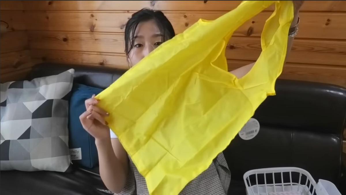 画像出典:YouTube/shino's channel-主婦の賃貸暮しさん(https://www.youtube.com/watch?v=jyBXN_aizFE)