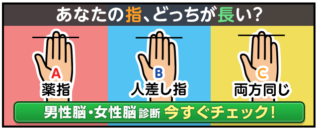 TOPカルーセル用：2/17～2/24